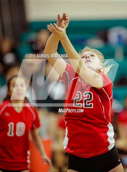 Thumbnail 2 in  Cleveland @ Granada Hills photogallery.