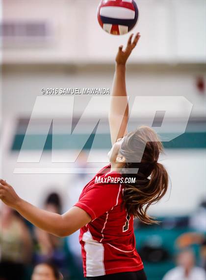 Thumbnail 3 in  Cleveland @ Granada Hills photogallery.