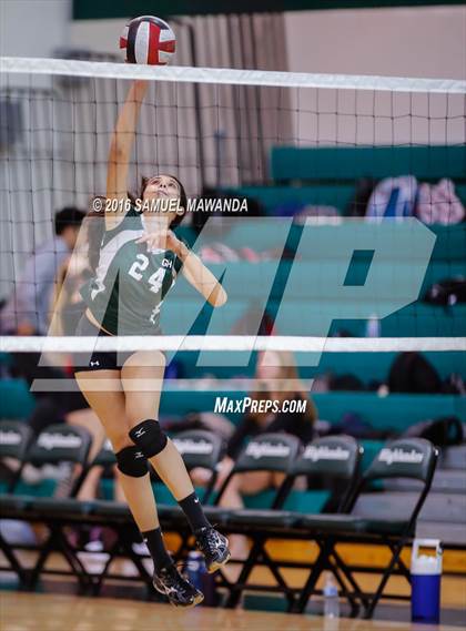 Thumbnail 1 in  Cleveland @ Granada Hills photogallery.