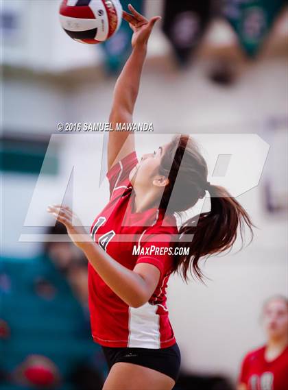 Thumbnail 1 in  Cleveland @ Granada Hills photogallery.