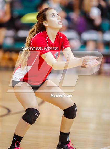 Thumbnail 2 in  Cleveland @ Granada Hills photogallery.