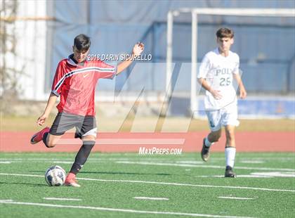 Thumbnail 2 in Long Beach Poly vs. Morningside (Marina Tournament)  photogallery.