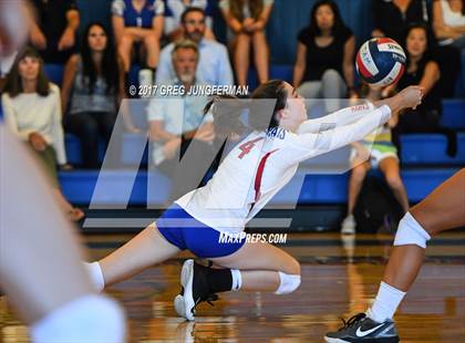 Thumbnail 3 in Redwood @ Tamalpais photogallery.