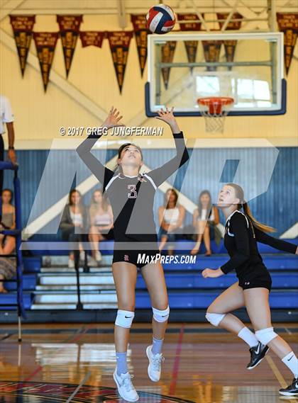 Thumbnail 3 in Redwood @ Tamalpais photogallery.