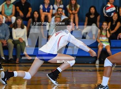Thumbnail 2 in Redwood @ Tamalpais photogallery.