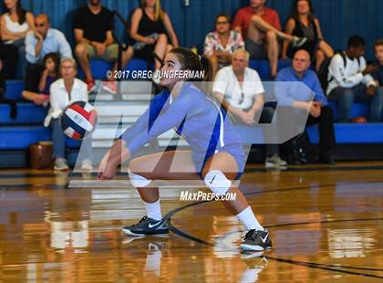 Thumbnail 2 in Redwood @ Tamalpais photogallery.