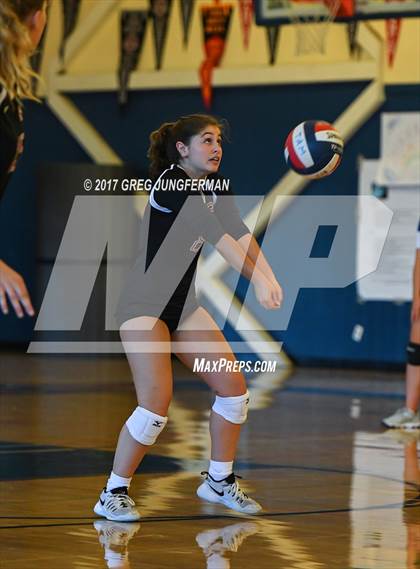 Thumbnail 3 in Redwood @ Tamalpais photogallery.