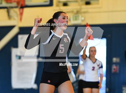 Thumbnail 3 in Redwood @ Tamalpais photogallery.