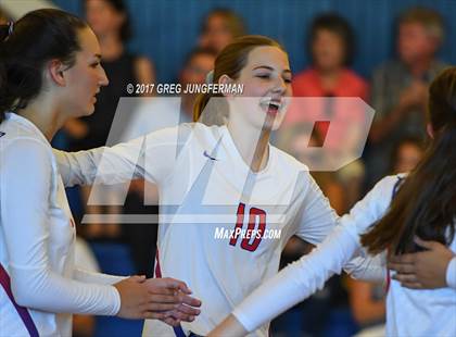Thumbnail 1 in Redwood @ Tamalpais photogallery.