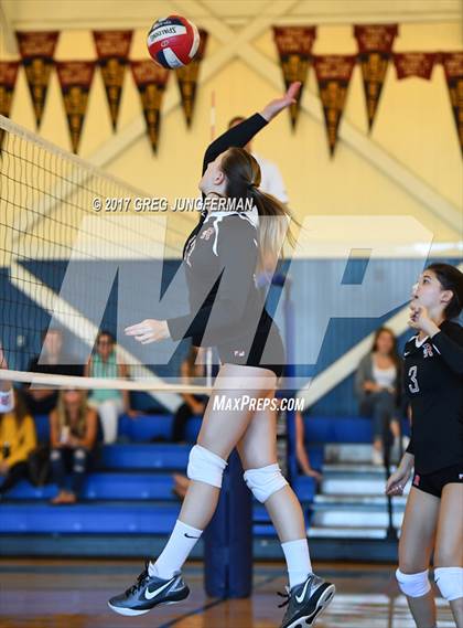Thumbnail 3 in Redwood @ Tamalpais photogallery.