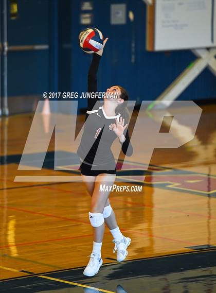 Thumbnail 1 in Redwood @ Tamalpais photogallery.