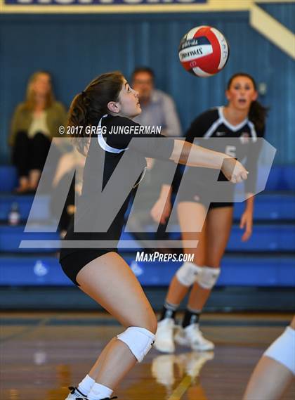 Thumbnail 1 in Redwood @ Tamalpais photogallery.