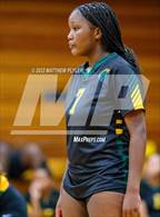 Photo from the gallery "Triton vs Pine Forest (All American Conference Tournament Semi-Final)"