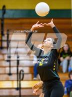 Photo from the gallery "Triton vs Pine Forest (All American Conference Tournament Semi-Final)"