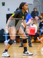 Photo from the gallery "Triton vs Pine Forest (All American Conference Tournament Semi-Final)"