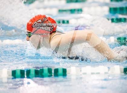 Thumbnail 2 in NIAA 4A Desert Swim Regional Prelims photogallery.