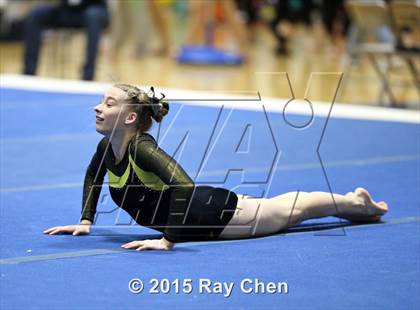 Thumbnail 1 in CHSAA 5A Gymnastics Championships (Day 1 First Half) photogallery.