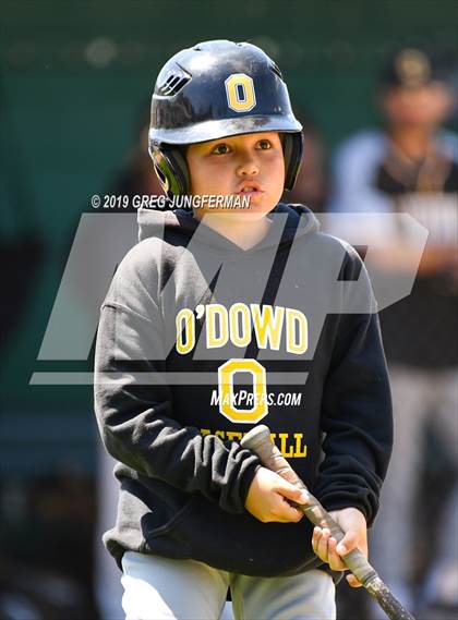 Thumbnail 2 in Bishop O'Dowd vs. Alhambra (CIF NCS D3 Final) photogallery.