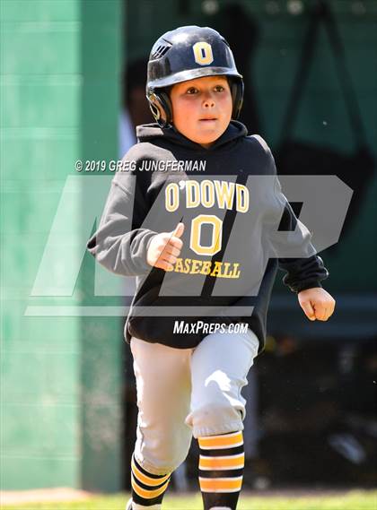 Thumbnail 1 in Bishop O'Dowd vs. Alhambra (CIF NCS D3 Final) photogallery.