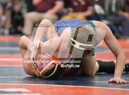 Thumbnail 1 in IHSA 1A Wrestling Sectionals photogallery.