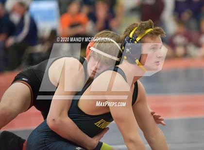 Thumbnail 2 in IHSA 1A Wrestling Sectionals photogallery.