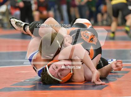 Thumbnail 3 in IHSA 1A Wrestling Sectionals photogallery.