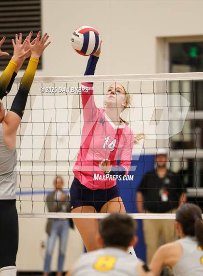 Thumbnail 2 in Thompson Valley @ Timnath photogallery.