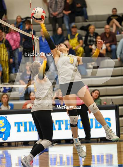 Thumbnail 2 in Thompson Valley @ Timnath photogallery.