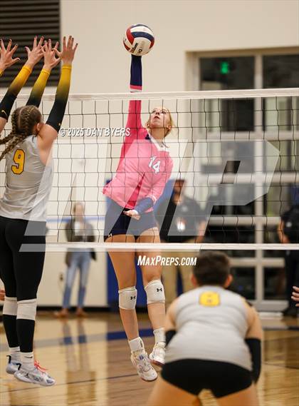 Thumbnail 1 in Thompson Valley @ Timnath photogallery.