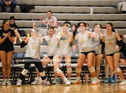 Thumbnail 3 in Thompson Valley @ Timnath photogallery.