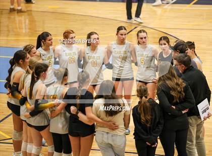 Thumbnail 1 in Thompson Valley @ Timnath photogallery.