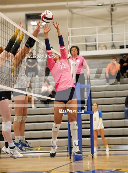 Thumbnail 3 in Thompson Valley @ Timnath photogallery.