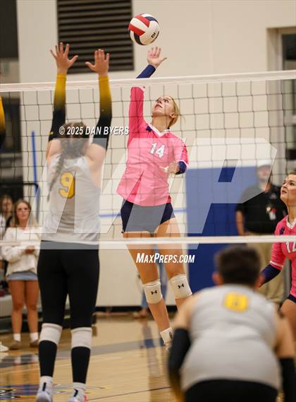 Thumbnail 3 in Thompson Valley @ Timnath photogallery.