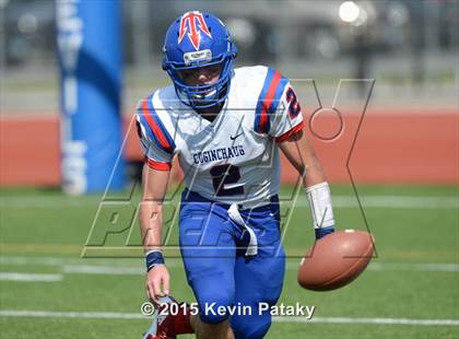Thumbnail 3 in Ellington @ Coginchaug Regional photogallery.