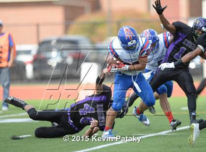 Thumbnail 3 in Ellington @ Coginchaug Regional photogallery.