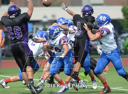 Thumbnail 3 in Ellington @ Coginchaug Regional photogallery.