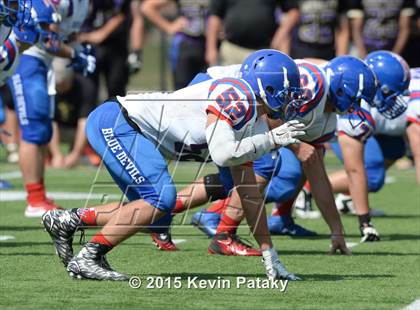 Thumbnail 1 in Ellington @ Coginchaug Regional photogallery.