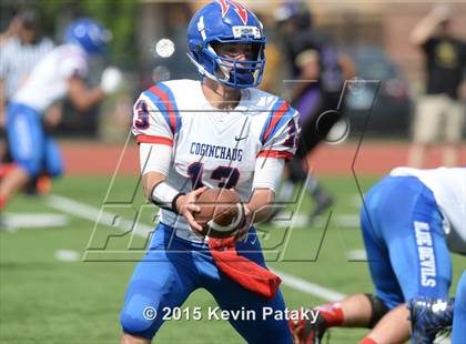 Thumbnail 2 in Ellington @ Coginchaug Regional photogallery.