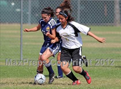 Thumbnail 1 in Big Valley Christian @ Millennium (CIF SJS D7 Playoffs) photogallery.