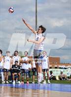 Photo from the gallery "Hamburg @ Frontier (Stadium Series)"