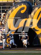 Photo from the gallery "Segerstrom @ California"