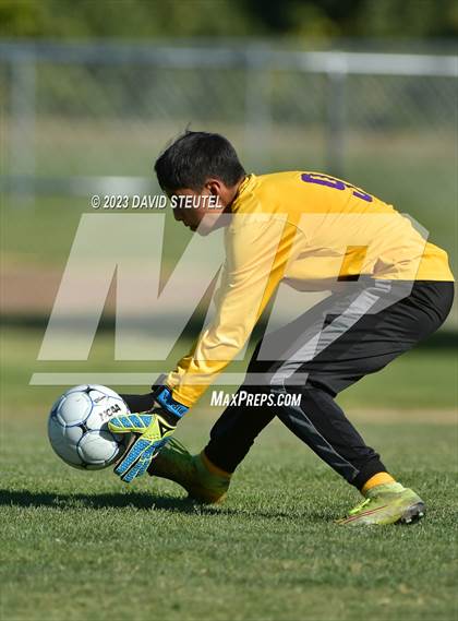 Thumbnail 3 in Elite @ Leroy Greene Academy photogallery.