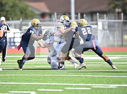 Thumbnail 3 in Klein @Klein Collins photogallery.