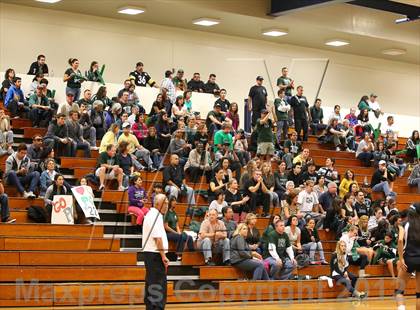 Thumbnail 1 in Pomona Catholic vs. Alverno (CIF SS D5AA Final) photogallery.