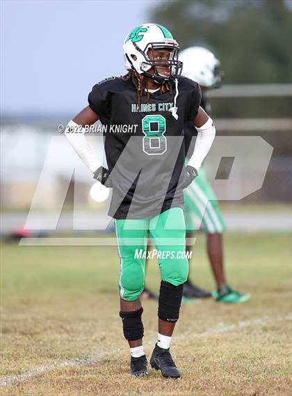 Thumbnail 3 in Lakeland @ Haines City photogallery.