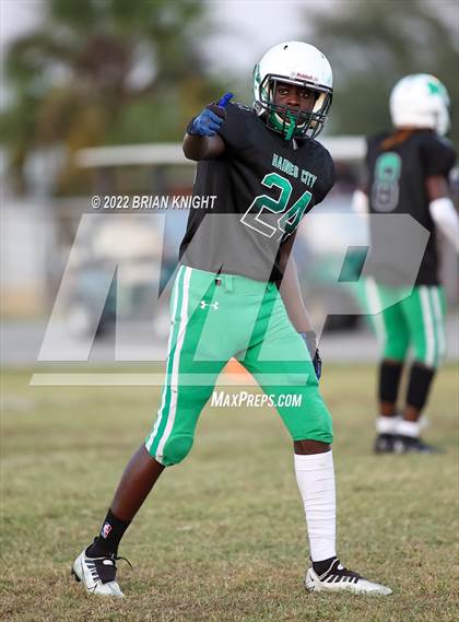 Thumbnail 2 in Lakeland @ Haines City photogallery.