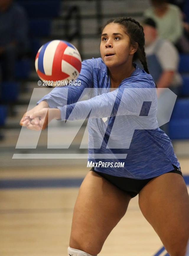 Volleyball shop for sale
