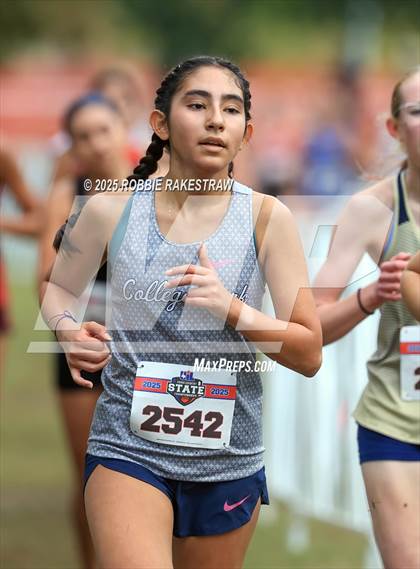 Thumbnail 3 in UIL 6A Girls Cross Country State Final photogallery.