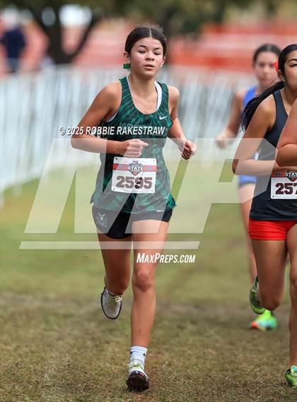Thumbnail 1 in UIL 6A Girls Cross Country State Final photogallery.