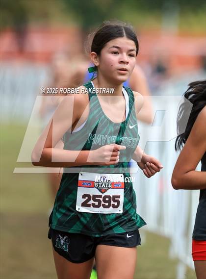 Thumbnail 1 in UIL 6A Girls Cross Country State Final photogallery.